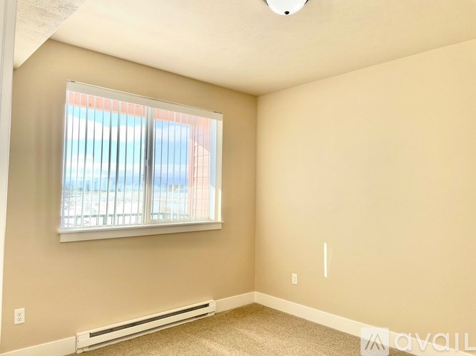 A room with a window and a carpeted floor.