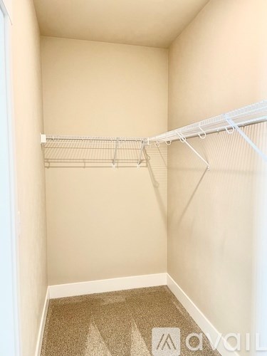 A small, empty closet with a carpeted floor and a white shelf.
