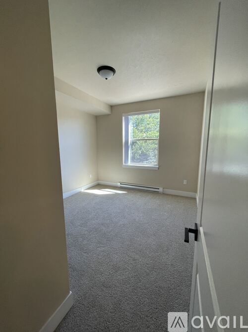 A carpeted room with a window and a door.