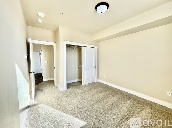 A spacious room with a carpeted floor and a ceiling light.