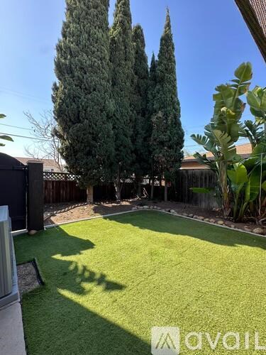A backyard with a green lawn and a tall tree.