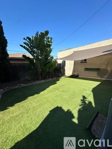 A backyard with a lawn and a tree.
