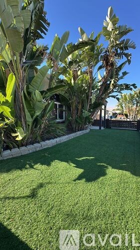 A well-maintained lawn with a shadow of a tree cast on it.