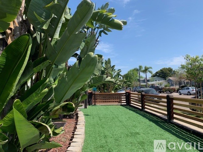 A wooden fence borders a green lawn with a banana tree in the foreground.