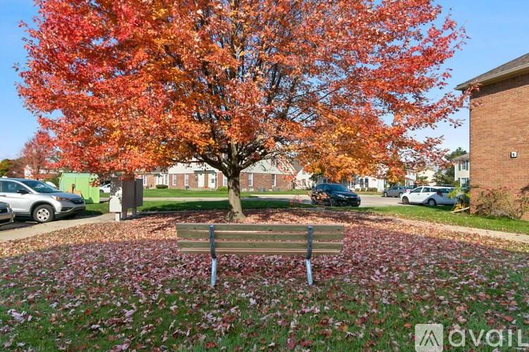 A tree with red leaves is in the middle of a flower bed.