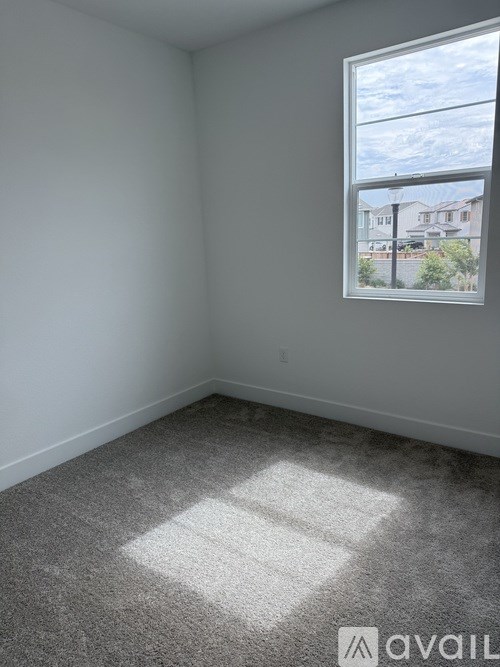 A room with a carpeted floor and a window showing a view of a residential area.
