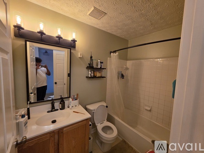 A bathroom with a sink, toilet, and a mirror.