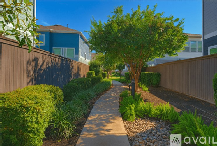 A tree in a residential area with a sidewalk.