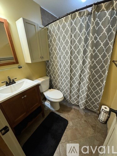 A bathroom with a sink, toilet, and shower curtain.