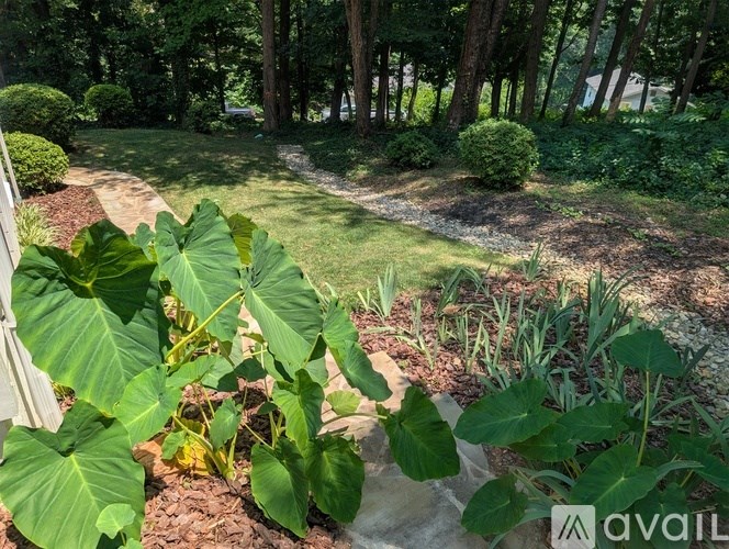 A garden with a pathway and green plants.