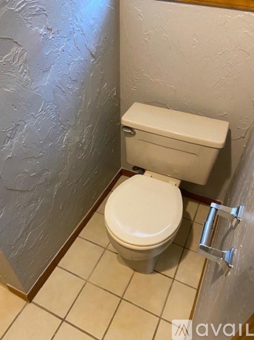 A white toilet with a silver handle is in a bathroom with a grey wall.