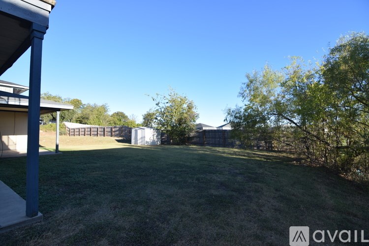 A backyard with a fence and trees.