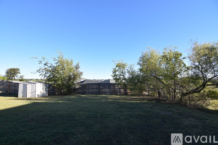 A grassy field with trees and a fence in the background.