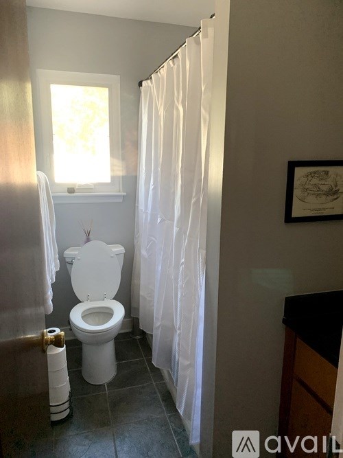 A bathroom with a toilet, a shower curtain, and a picture on the wall.