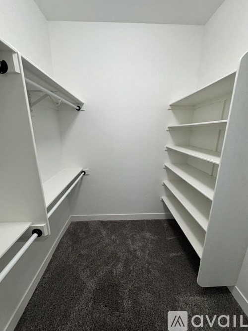 A white walk in closet with shelves and a carpeted floor.
