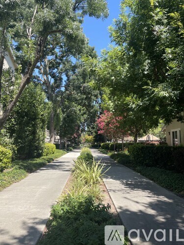 A tree-lined street with a sidewalk and a house in the distance.
