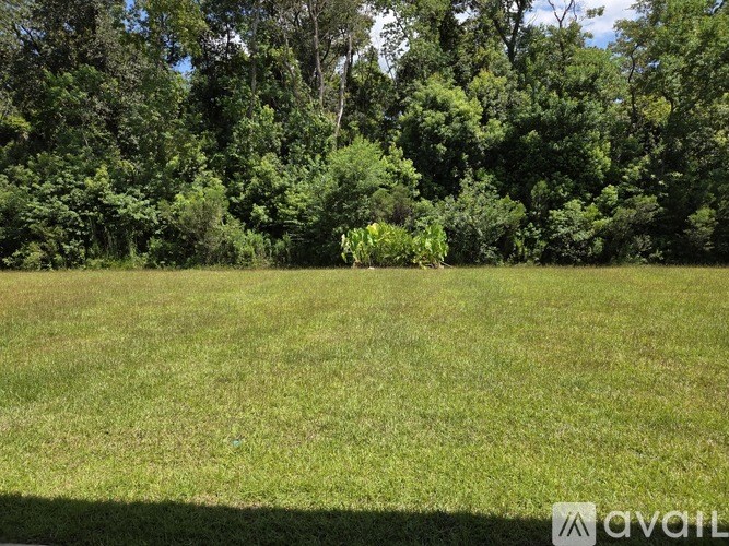 A grassy field with trees in the background.