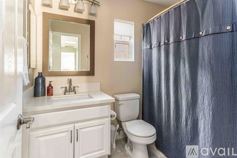 A bathroom with a toilet, sink, and shower curtain.