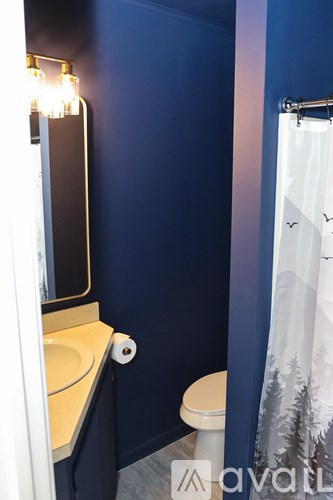 A bathroom with blue walls and a white toilet.