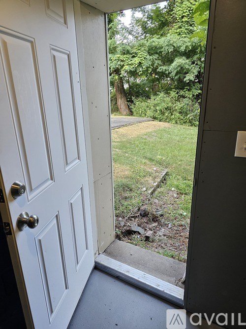 A white door with a handle is open to a backyard.