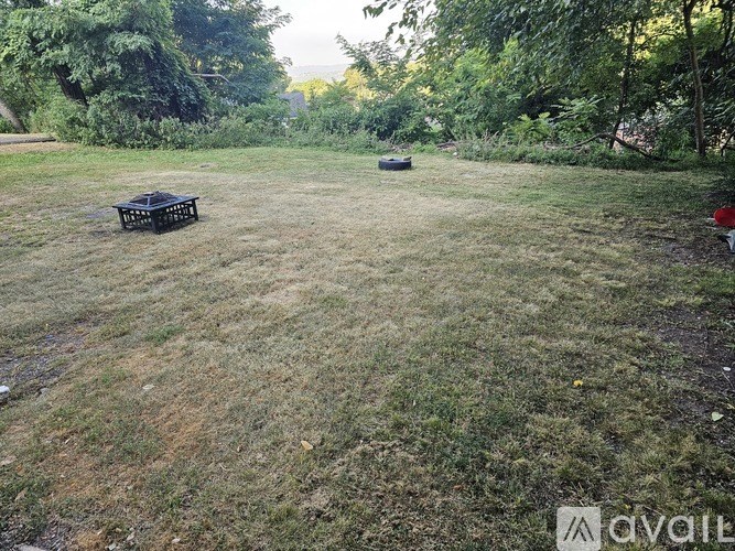 A backyard with a lawn and a few trees.