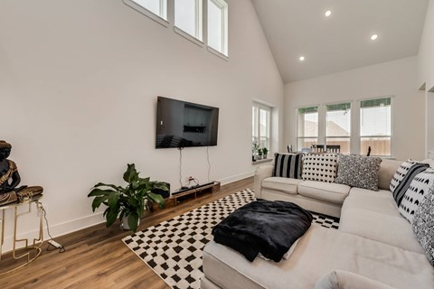 A living room with a white couch and a black and white rug.