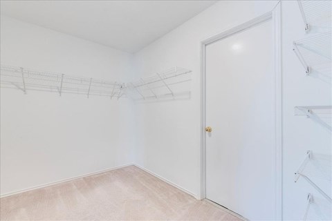11708 Johnny Weismuller Ln 4 Beds Apartment for Rent