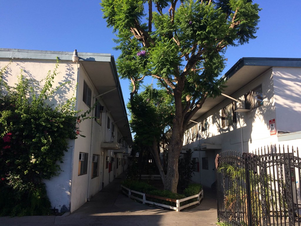 A tree in front of a white building with a black gate.