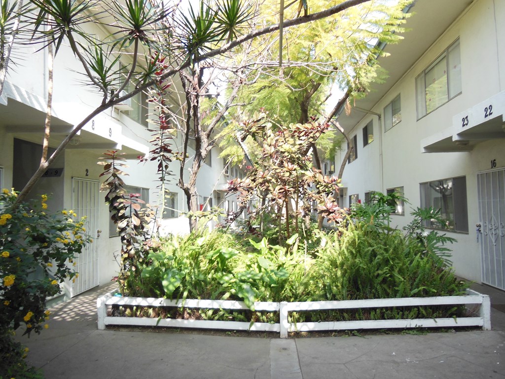 A white fence separates a small garden from a white building.