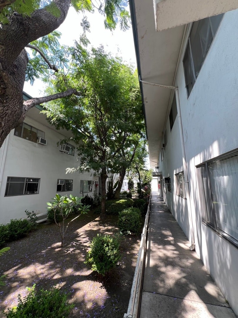 A tree in front of a white building with a window.