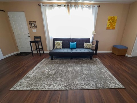 A living room with a couch and a rug.