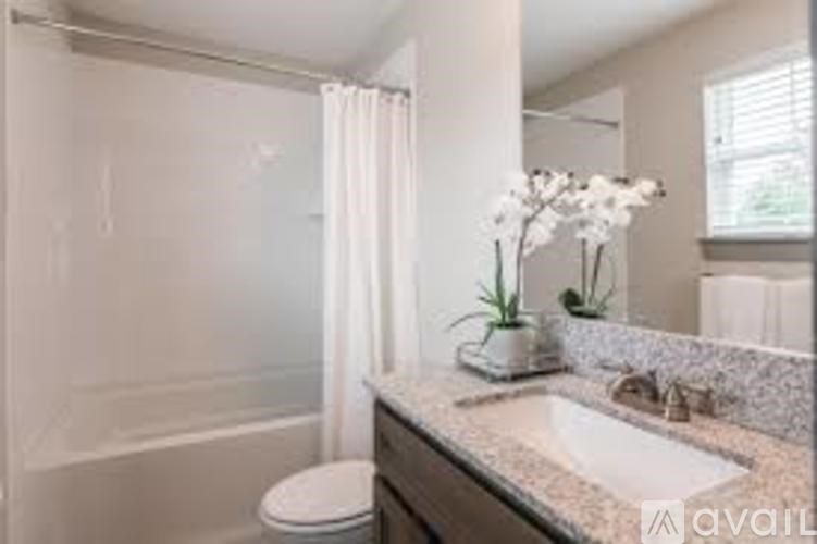 A bathroom with a toilet, sink, and a window.