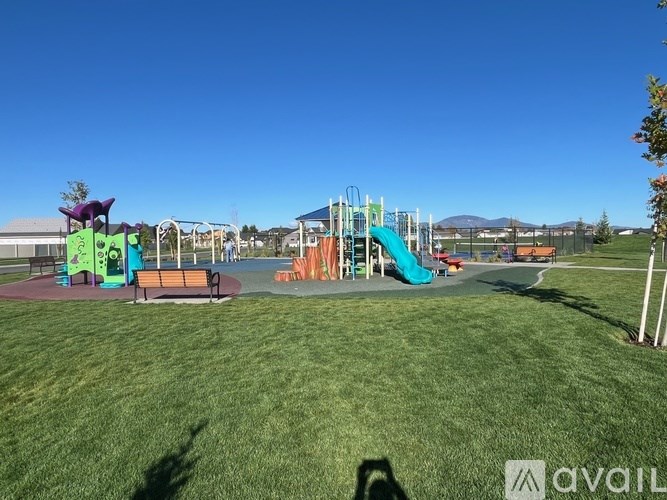 A playground with a green slide and a purple slide.