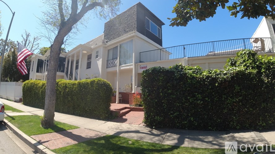 A house with a flag on the left and a tree in front.