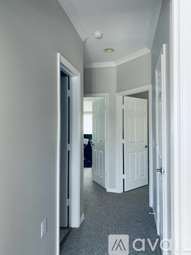 A hallway with white doors and a carpeted floor.