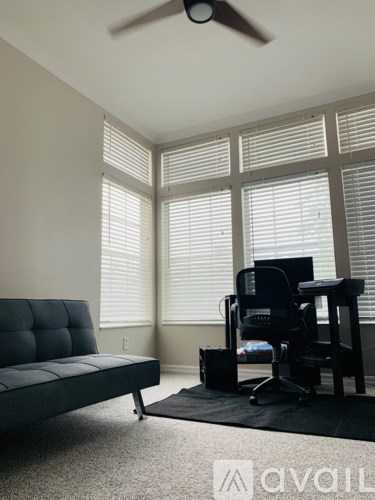 A room with a black couch, a black chair, and a black bag on a black rug.