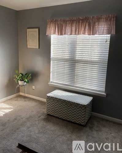 A room with a grey carpet, a potted plant, a picture frame, a window with blinds and a ottoman.