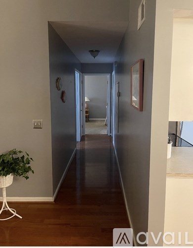 A hallway with a plant on the left and a doorway in the distance.