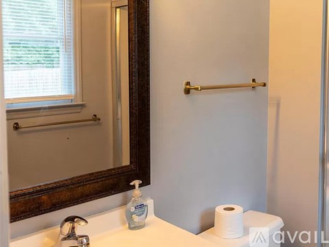 A bathroom with a white sink, a mirror, and a toilet paper roll.