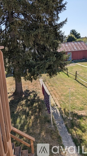 A tree in a field with a fence and a building in the background.