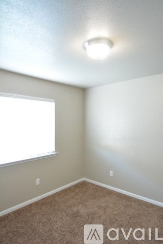 A room with a carpeted floor and a window.