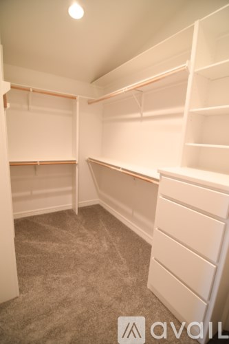 A room with white shelves and a carpeted floor.