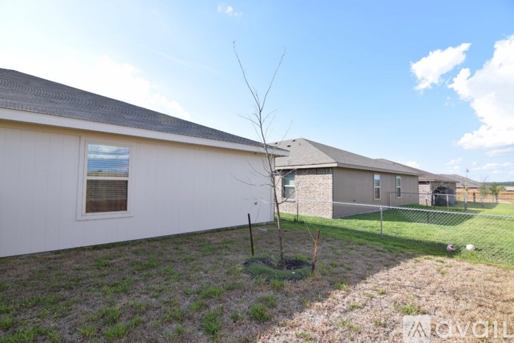 A small tree stands in a yard in front of a house.