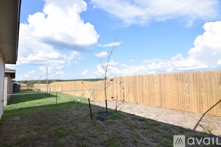A backyard with a wooden fence and a small tree.