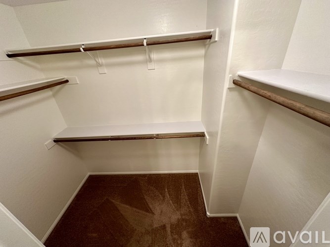 A small, empty closet with three shelves and a carpeted floor.