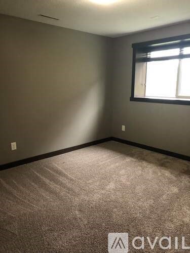 A room with a carpeted floor and a window.