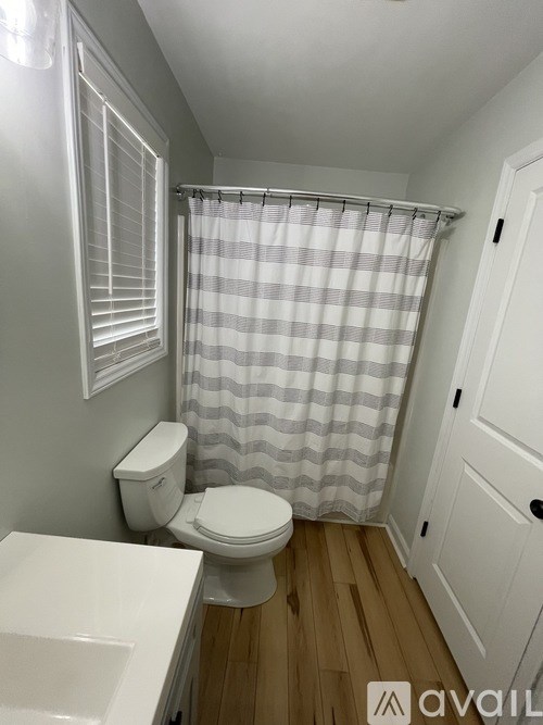 A bathroom with a toilet, sink, and shower curtain.