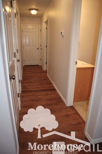 A hallway with a tree logo on the floor.