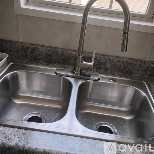 A double sink stainless steel kitchen sink with a chrome faucet.