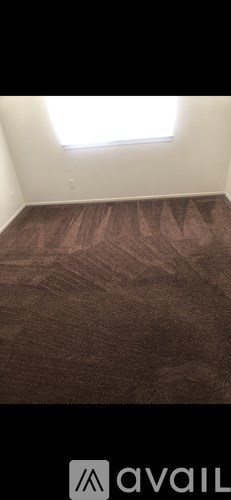 A room with brown carpet and a window.